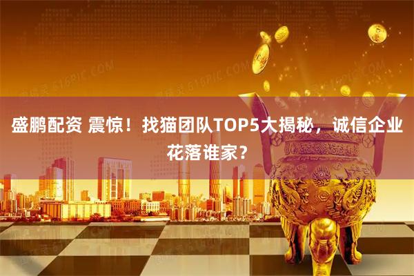 盛鹏配资 震惊！找猫团队TOP5大揭秘，诚信企业花落谁家？