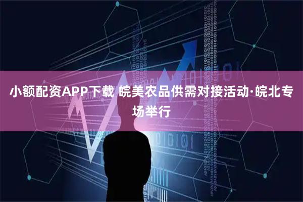 小额配资APP下载 皖美农品供需对接活动·皖北专场举行