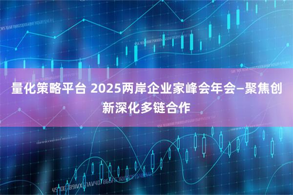 量化策略平台 2025两岸企业家峰会年会—聚焦创新深化多链合作