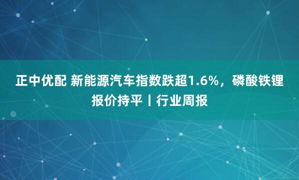 正中优配 新能源汽车指数跌超1.6%，磷酸铁锂报价持平丨行业周报