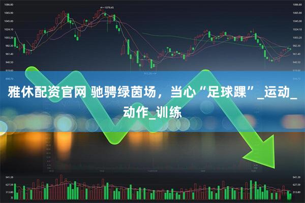 雅休配资官网 驰骋绿茵场，当心“足球踝”_运动_动作_训练