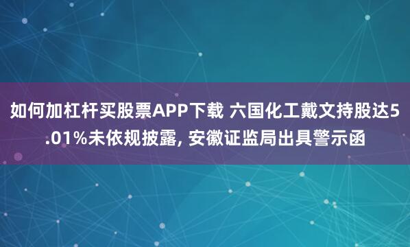 如何加杠杆买股票APP下载 六国化工戴文持股达5.01%未依规披露, 安徽证监局出具警示函
