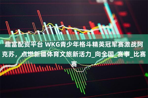 趣富配资平台 WKG青少年格斗精英冠军赛激战阿克苏，点燃新疆体育文旅新活力_向全国_赛事_比赛