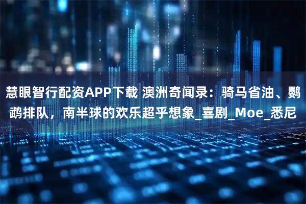 慧眼智行配资APP下载 澳洲奇闻录：骑马省油、鹦鹉排队，南半球的欢乐超乎想象_喜剧_Moe_悉尼