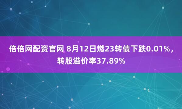 倍倍网配资官网 8月12日燃23转债下跌0.01%，转股溢价率37.89%